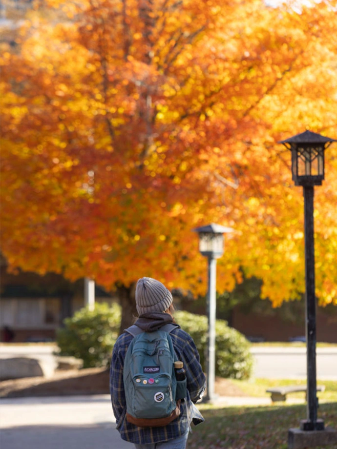 Campus life fall portrait